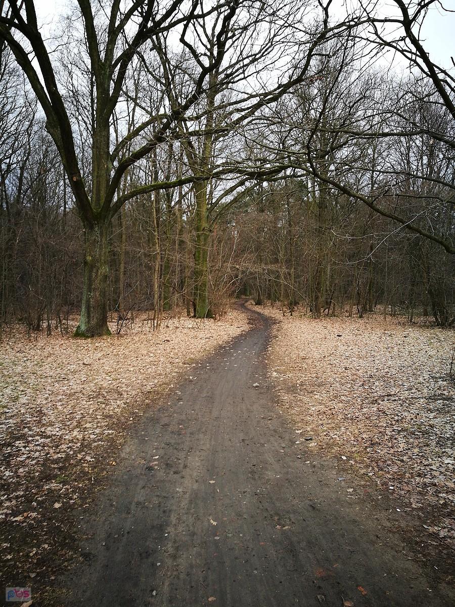 Ścieżka przez park. Rejon ul. Wieczność