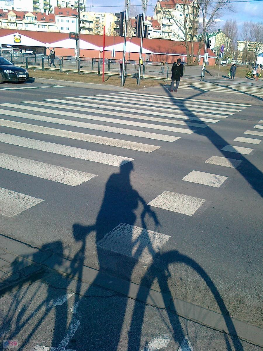 Słoneczne towarzystwo