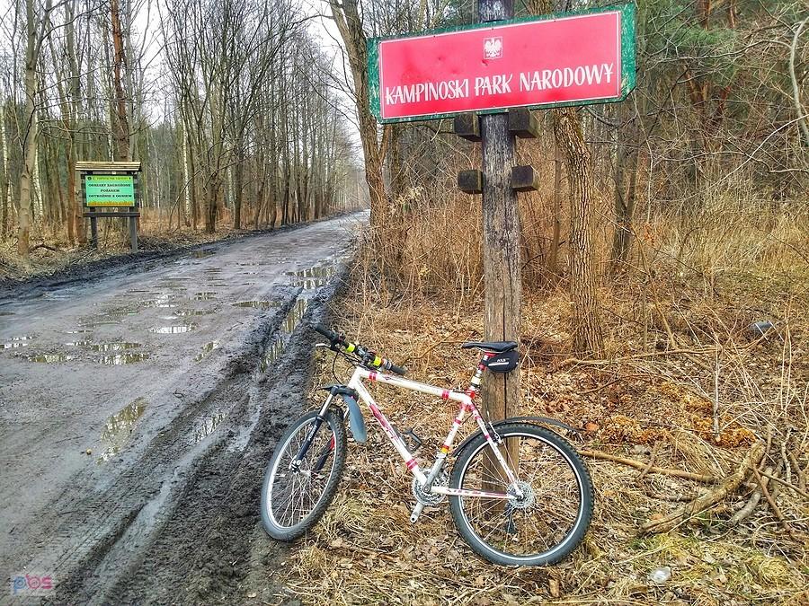 błotny Kampinos wita