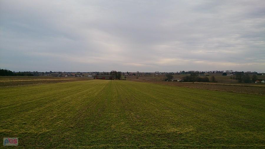 Zielono na polach