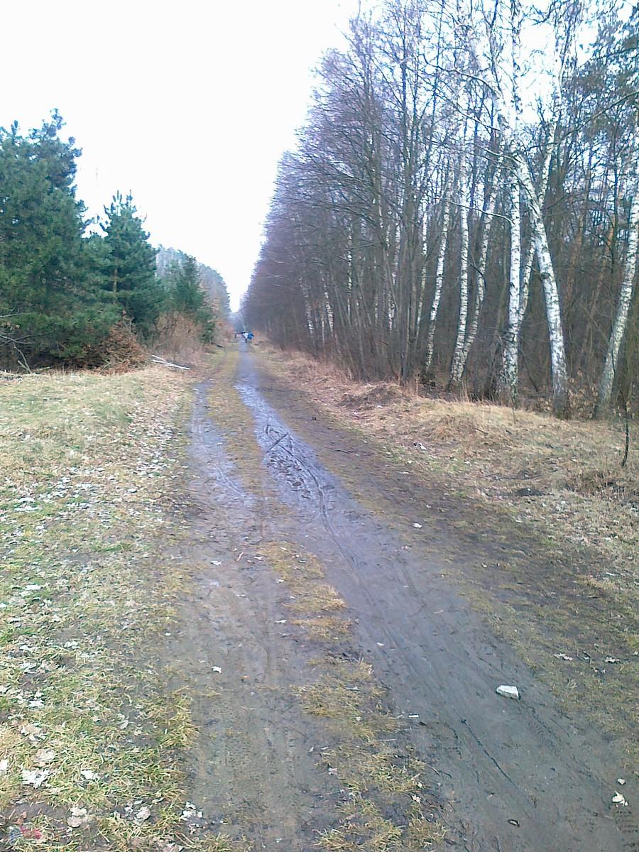 Tędy można było jechać, dalej było już tylko gorzej