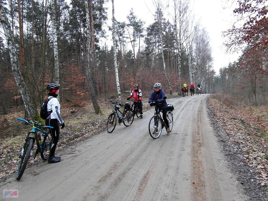 Prawie w Tczewie
