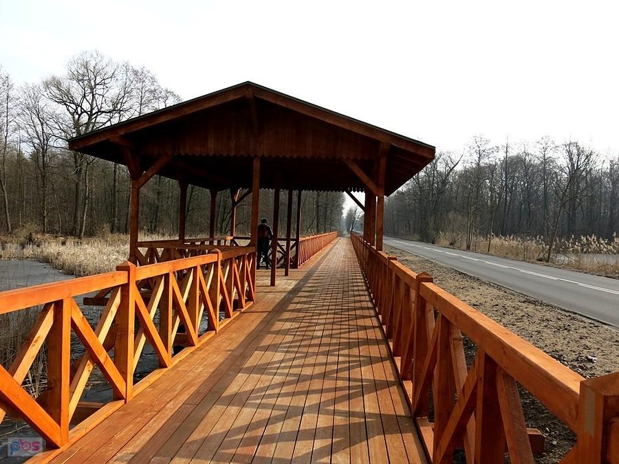 Między Makowem a Skierniewicami