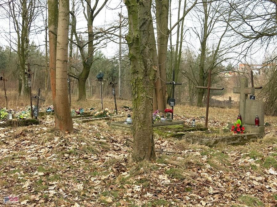 Stary, zaniedbany cmentarz wielowyznaniowy w Skierniewicach