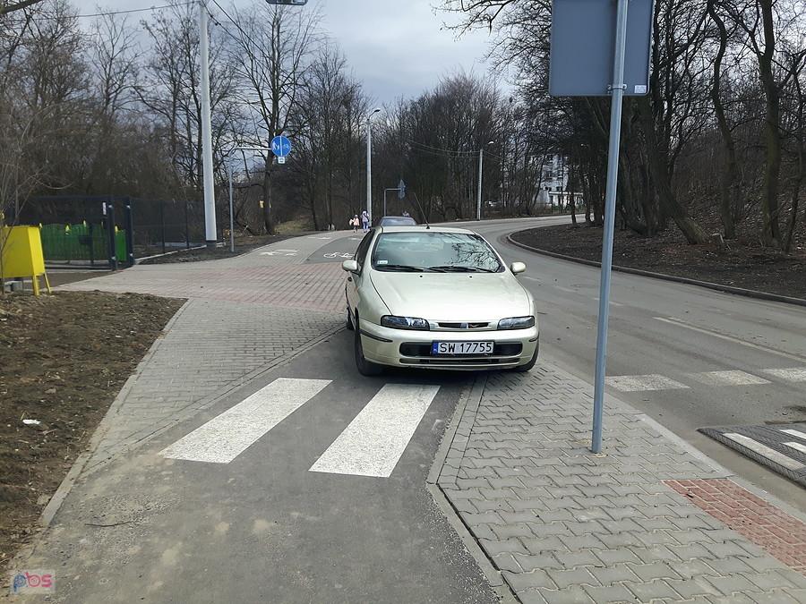 Mistrz parkowania