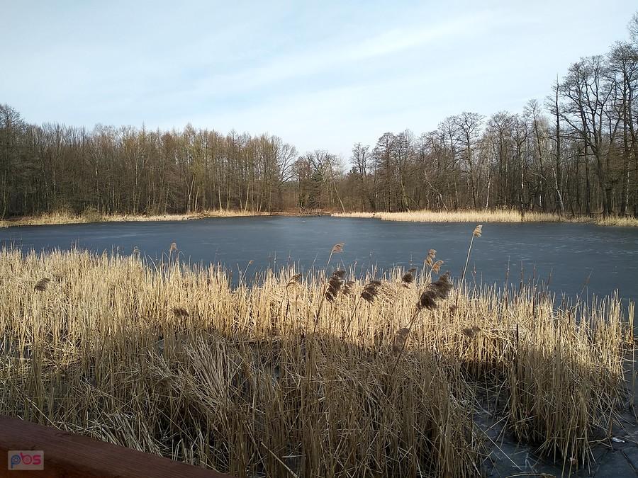 Staw jeszcze zamarznięty
