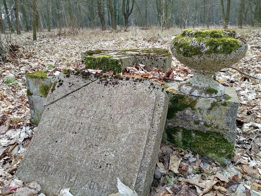 Cmentarz komunalny w Skierniewicach, tylko czemu taki zniszczony?