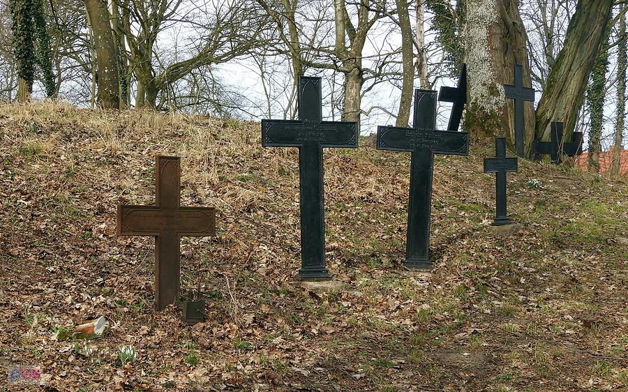 Krzyże z cmentarza w Stolcu pochodzące z 19 wieku.