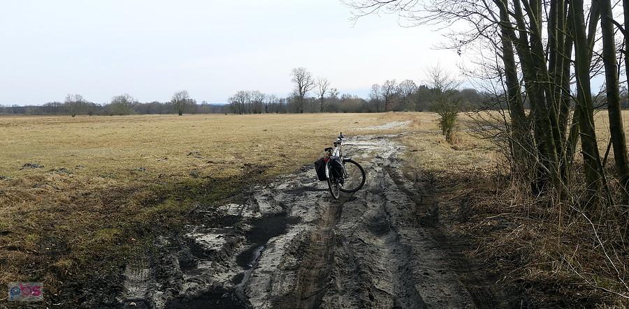 Droga prowadząca do rezerwatu Świdwie.