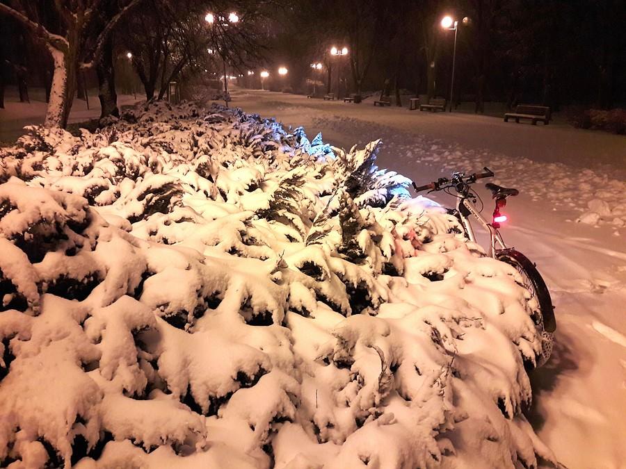 Promenada Niemena w marcowej, zimowej szacie III.