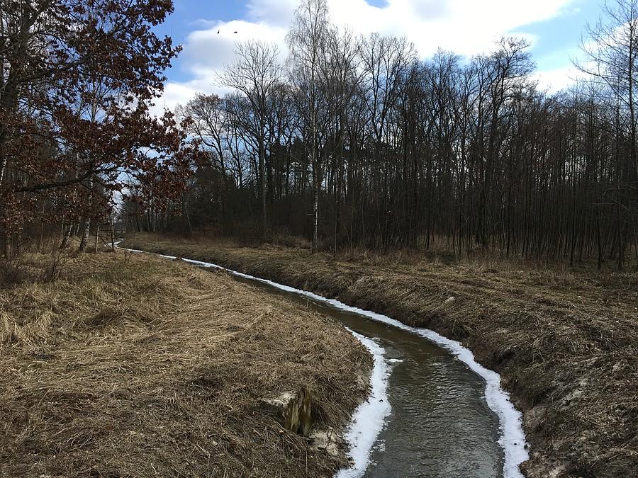 Rów melioracyjny w okolicy leśnictwa Annogóra