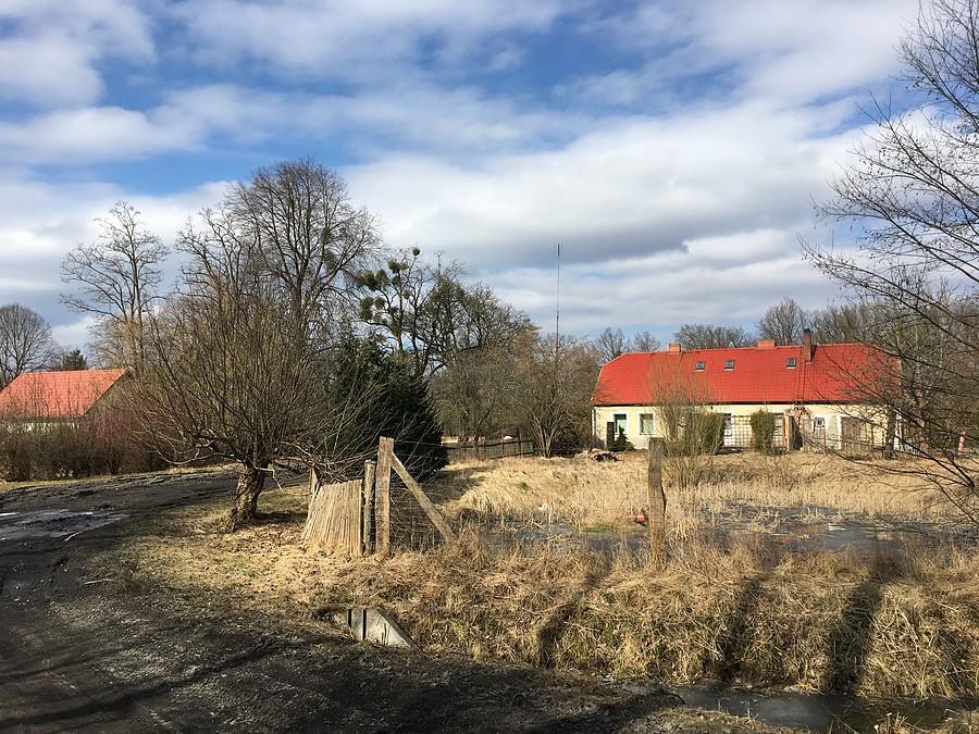 Leśnictwo Annogóra