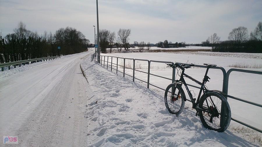 Lokalna droga koło Świdnika