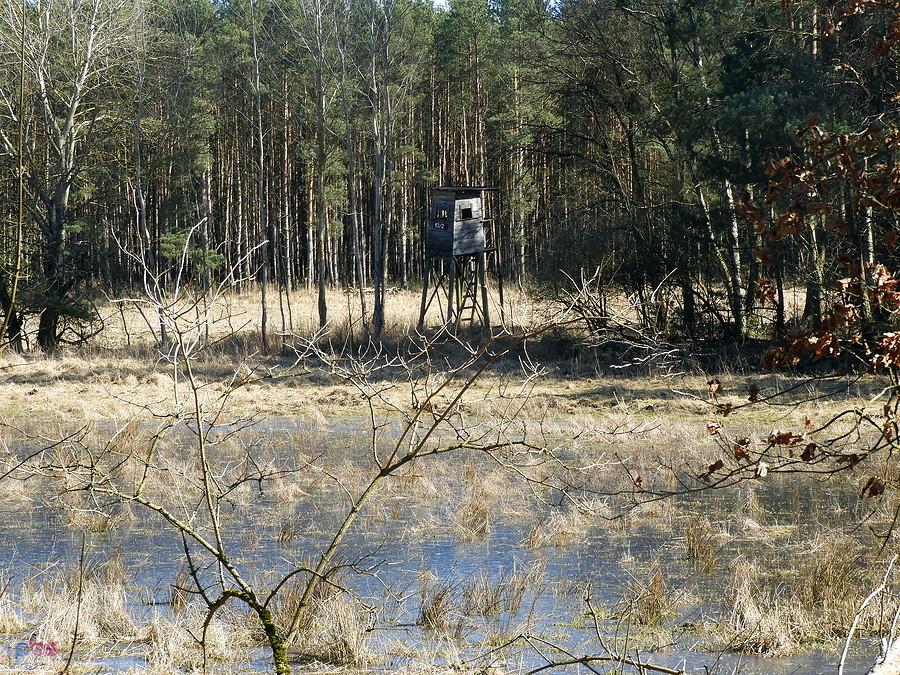 Ambona myśliwska nad wodą w Puszczy Wkrzańskiej.