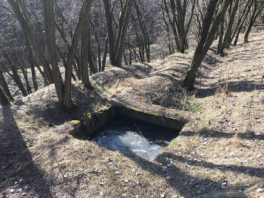 Okolice trasy kolejowej Czarnków - Sarbia