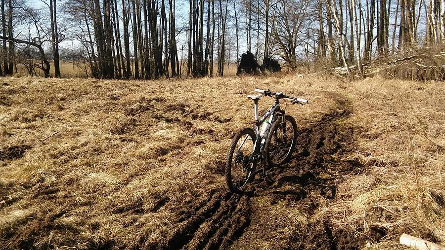 Zmrożone bagienko. W tych koleinach jechało się jak po szynach