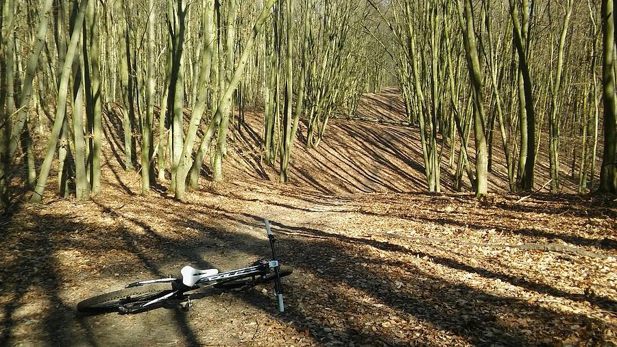 Sinusoidalna prosta, w sam raz do MTB :)