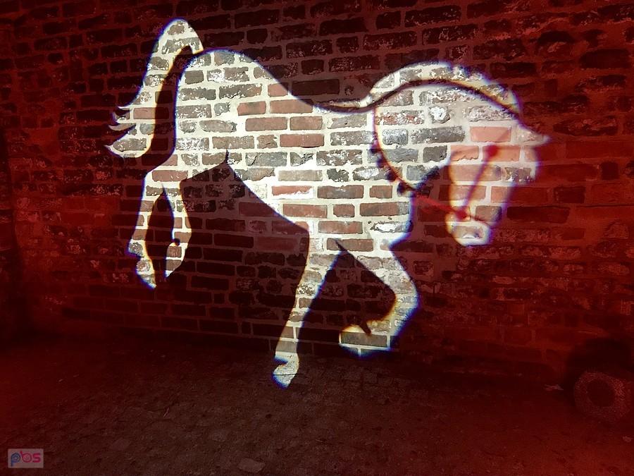 konik iluminacyjny