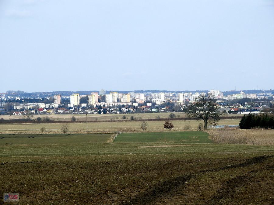 W oddali Szczecin - widok spod Siadła Górnego.