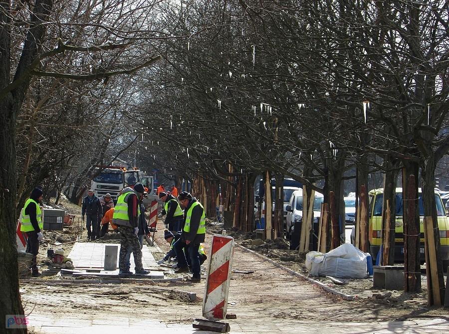Budowa DDR na Okopowej i soczyste sople z uszkodzonych klonów