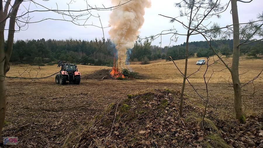 Porządki pod lasem w miejscowości Buk.
