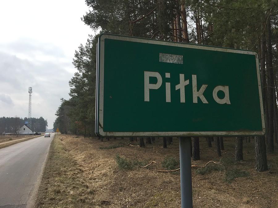 Piłka w Puszczy Noteckiej