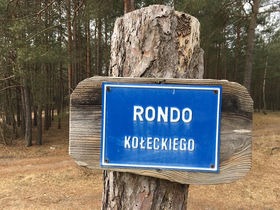 Rondo Kołeckiego cd.