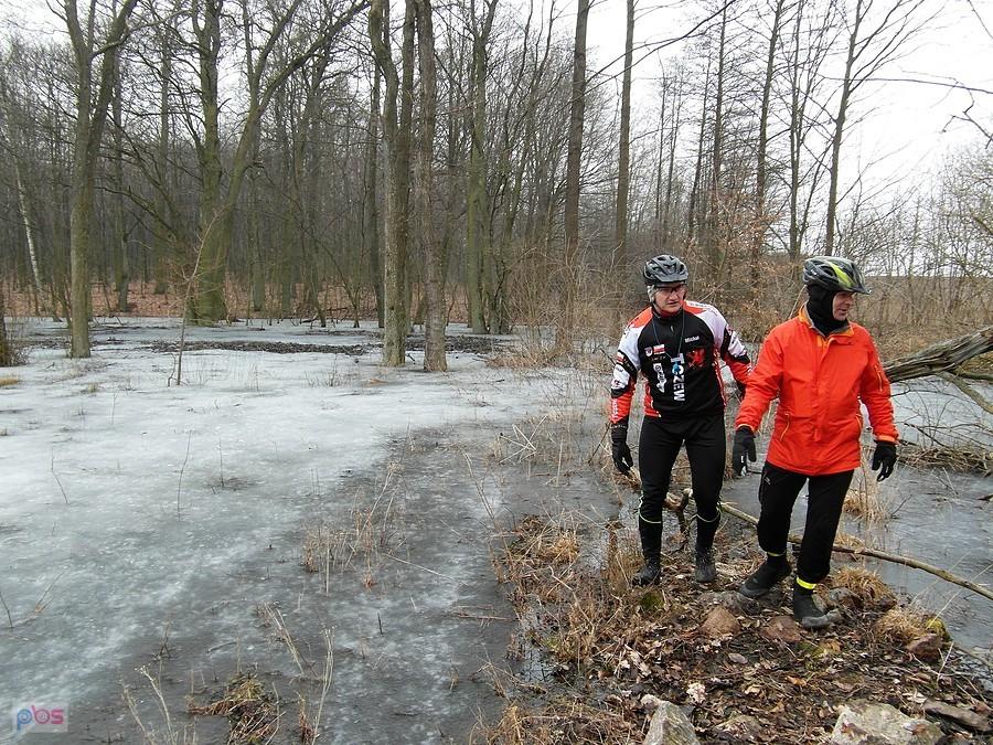Kamień Wilhelma – nr 4 przy nasypie kolejowym Prakwice -Lipiec