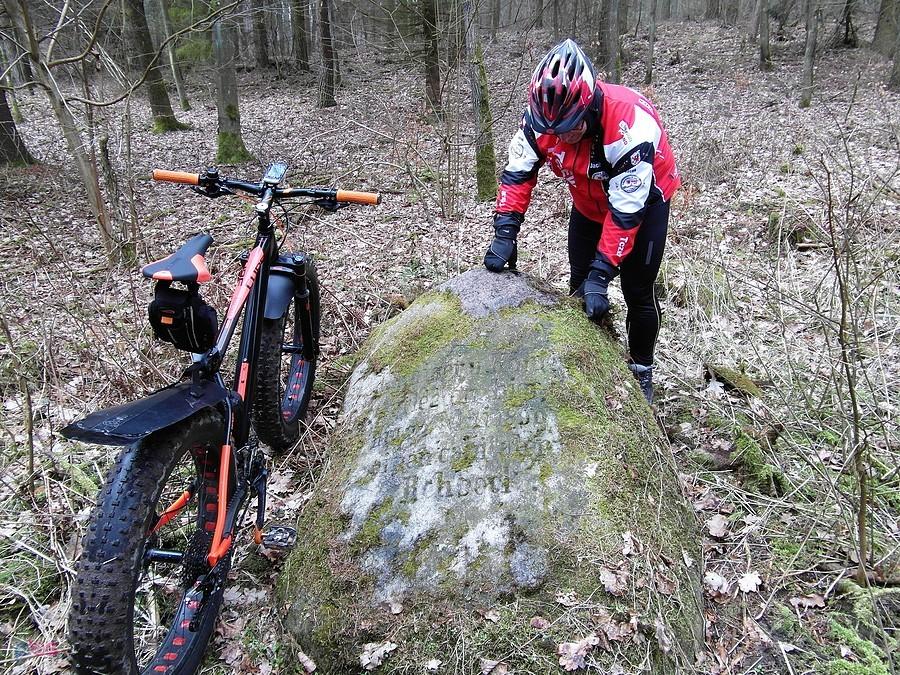 Przystanek przy kamieniu nr 6 -–leży w lesie wzdłuż rzeki