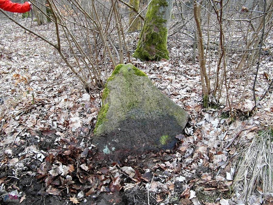 Kamień nr 12