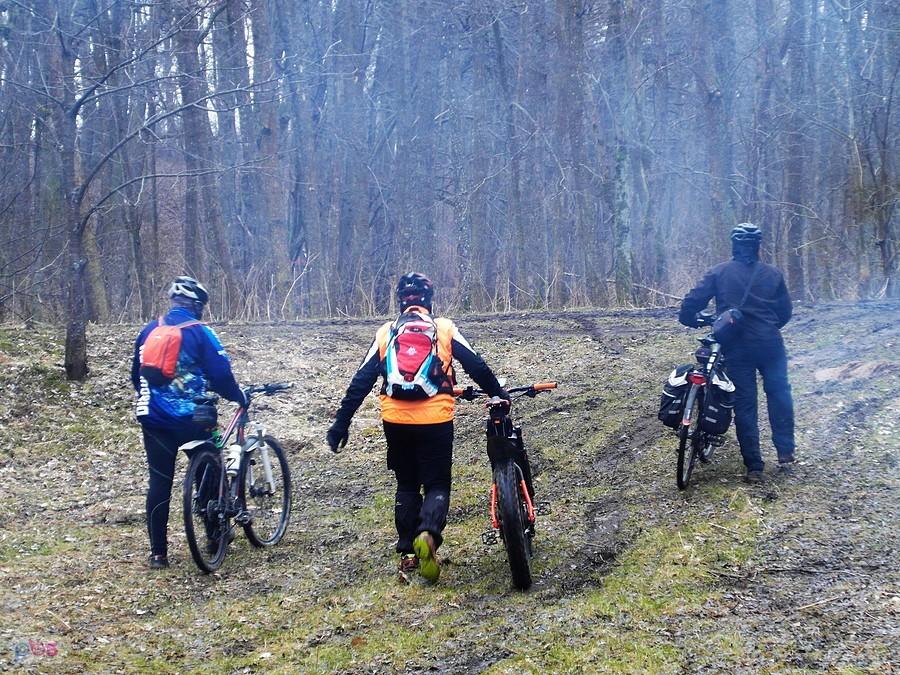 Trzej Muszkieterowie wracają do domu....