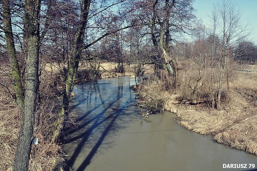 Sławków - Rzeka Biła Przemsza