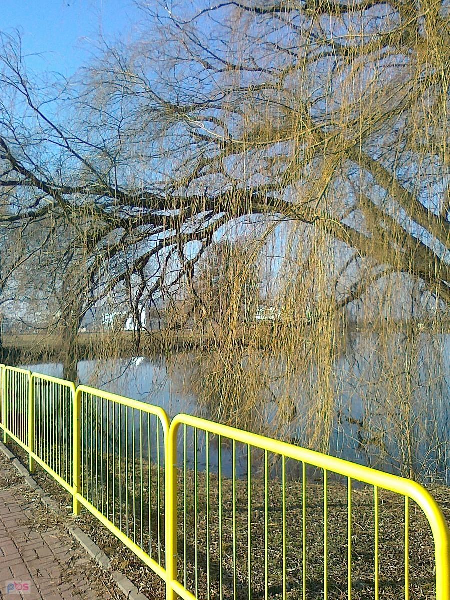 Obowiązkowo staw w Zielonkach