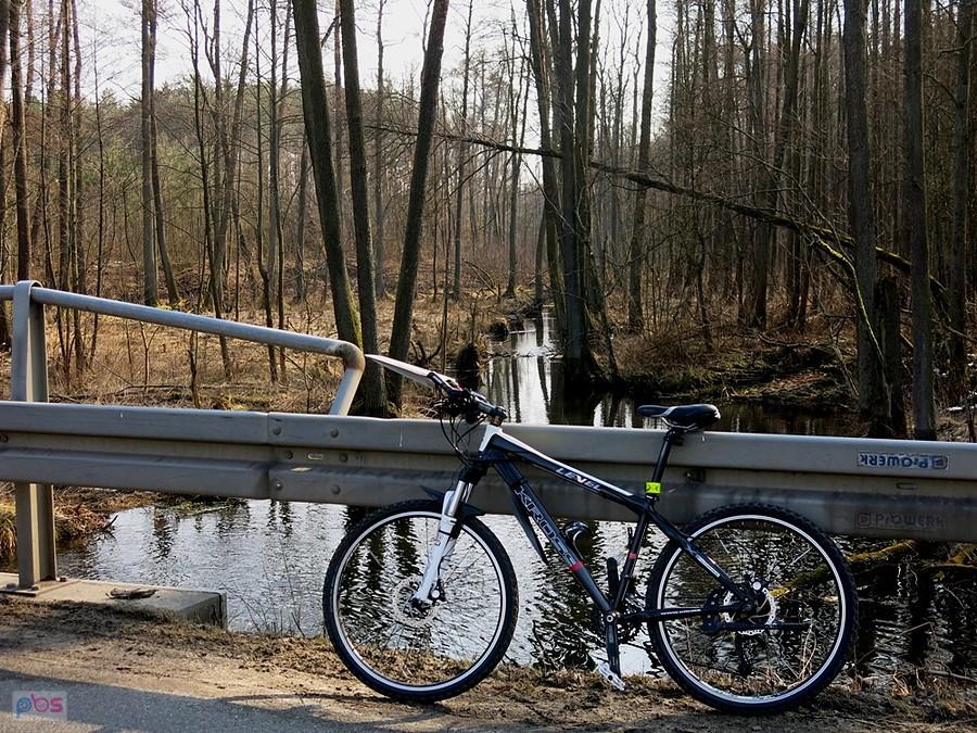 Nad Gacią Spalską.