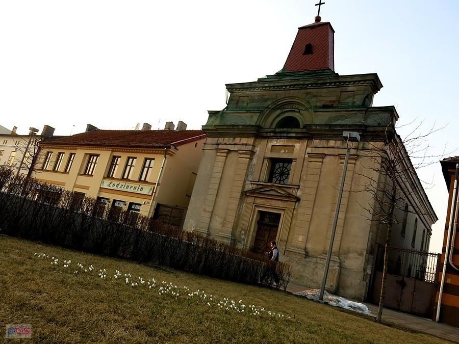 Rabatka kwiatowa.
