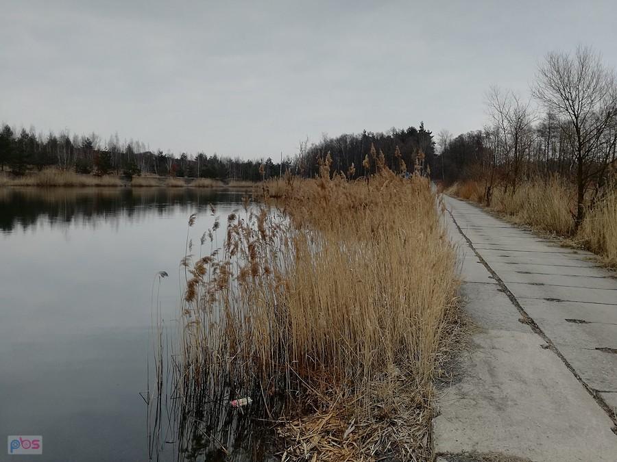 Nas stawami w Makoszowach