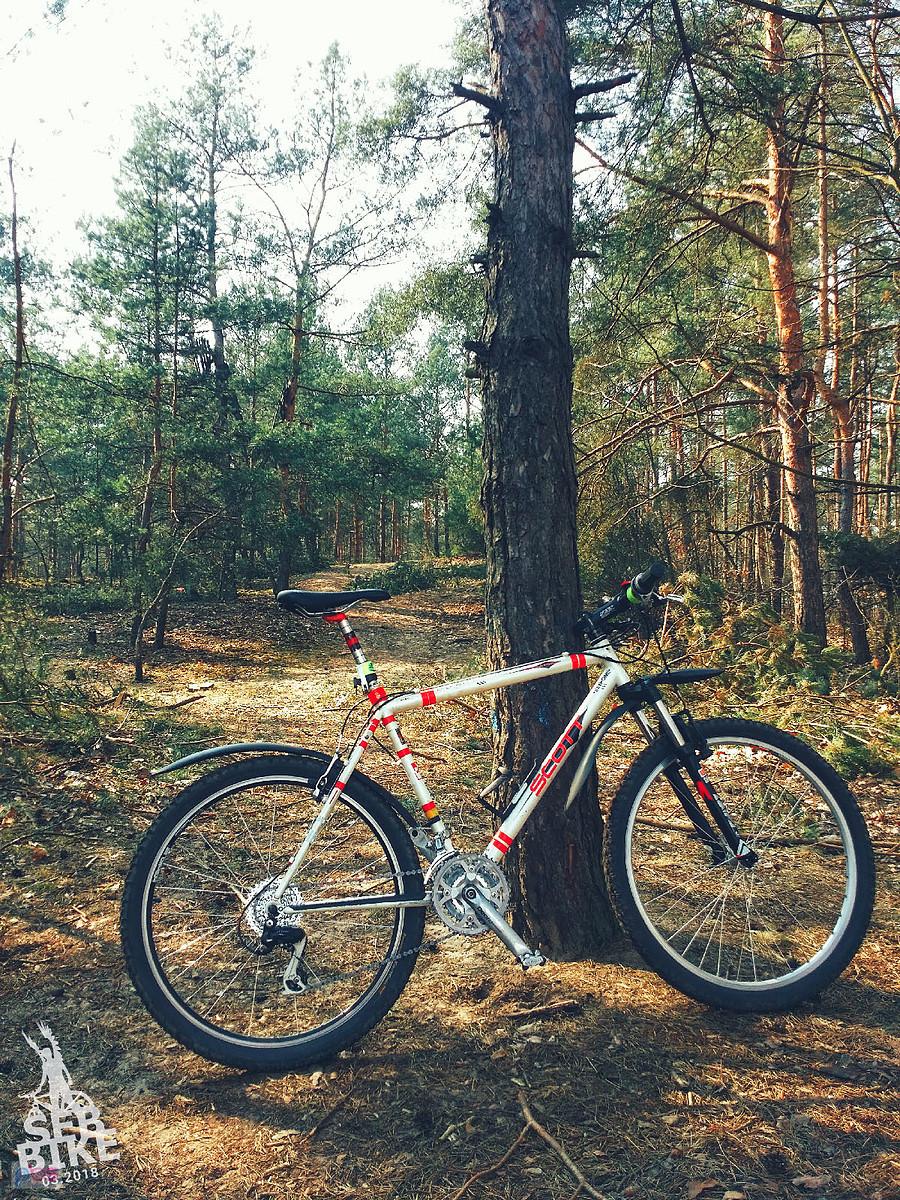 dzień w pracy