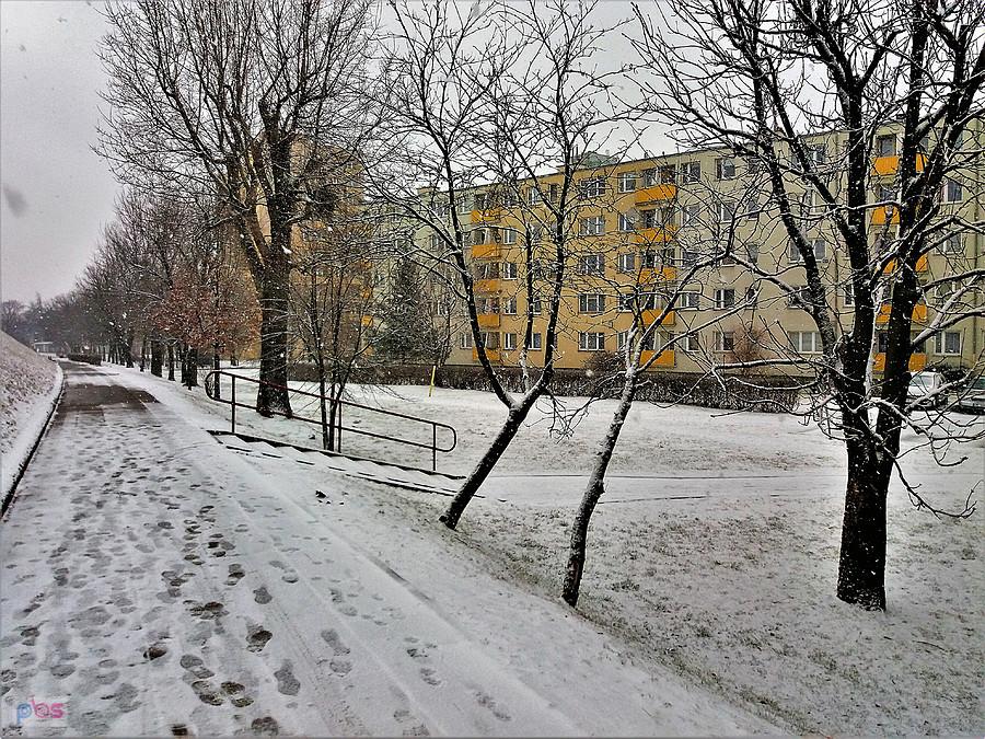 Powrót zimy - wiosną. Tczew.