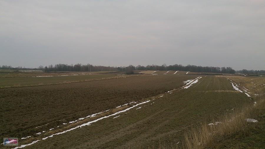 Pola koło Wąwolnicy