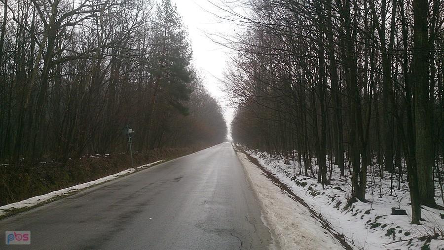 Szaro, buro i ponuro