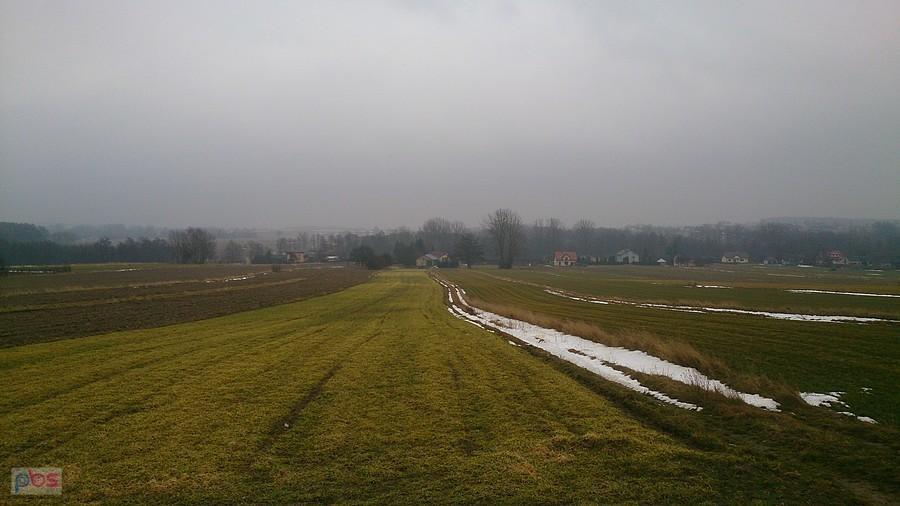 Trochę zielonego