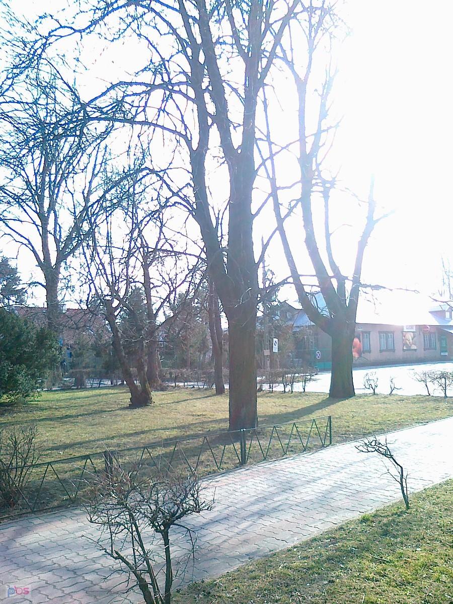 Słoneczny dzień