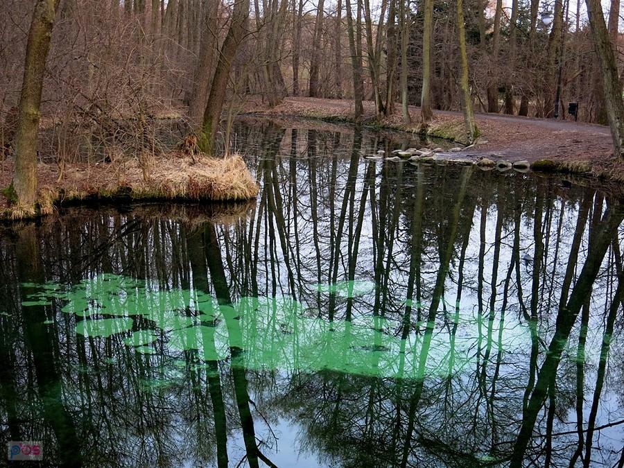 Piękny mają dziś kolor.