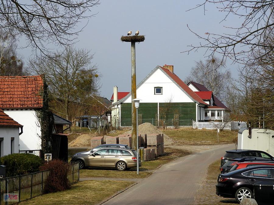 A tak wygląda w całej okazałości bocianie gniazdo w Schwennenz.