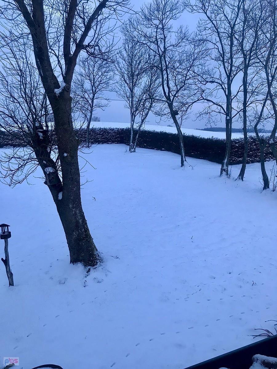 widok z okna wieczorem