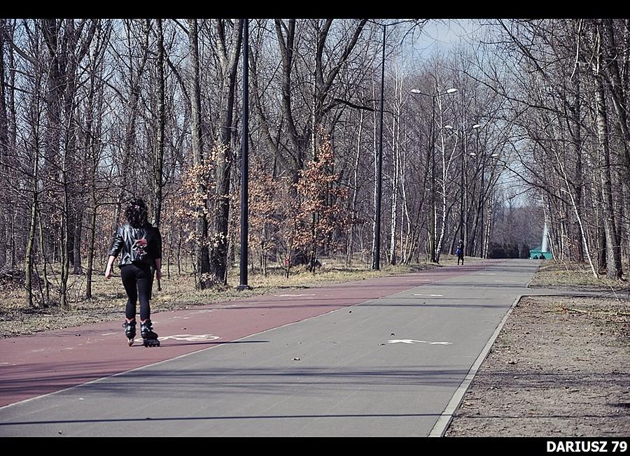 Sosnowiec - Stawiki
