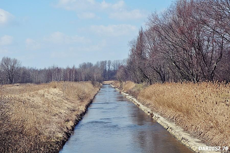 Sosnowiec - Naftowa (Rzeka Brynica)