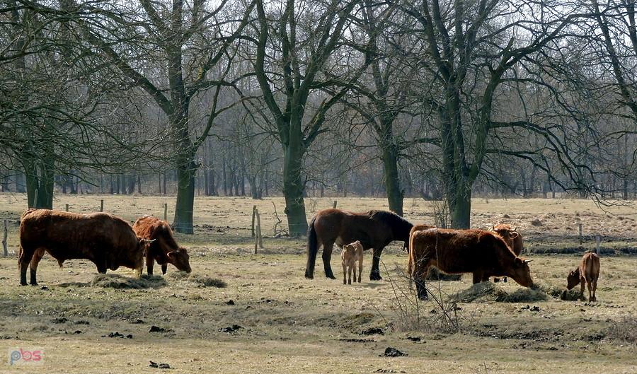 Rodzinnie pod Wieńkowem.