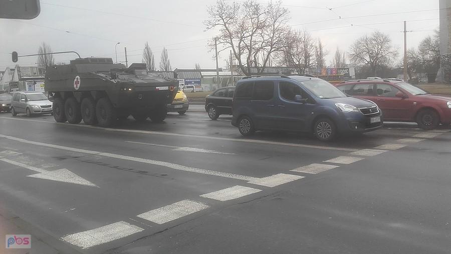 Skot na ulicach miasta