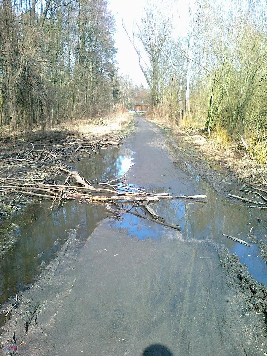 Prawie robi jednak różnicę